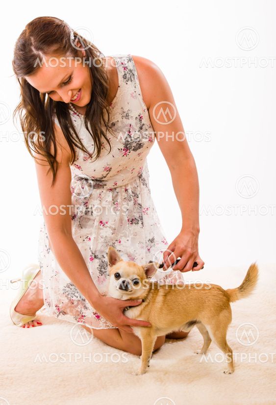 Pet caring