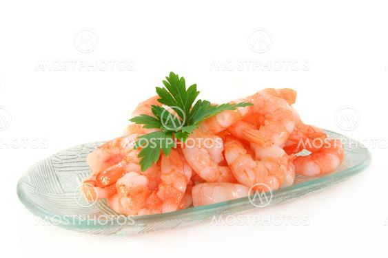 Shrimp