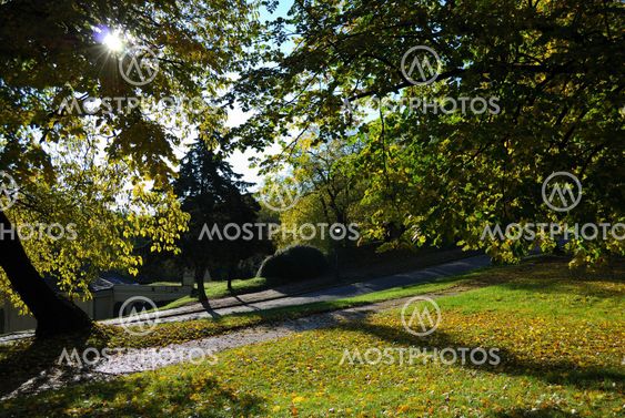 Autumn morning
