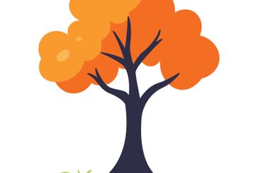 Natural Orange Tree in Forest in Autumn Fall Season