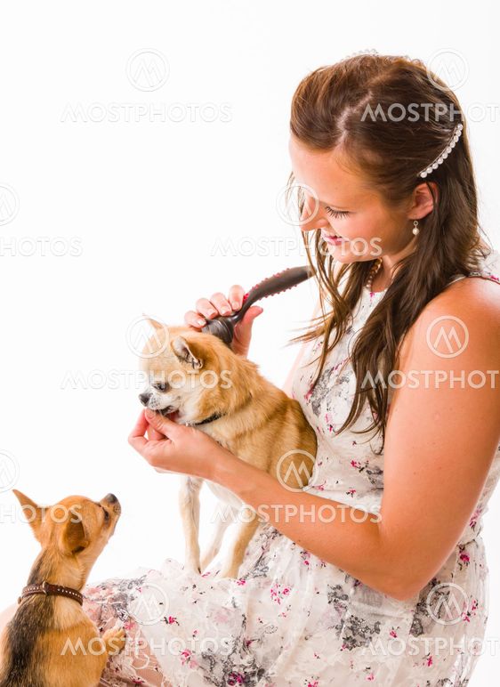 Pet caring