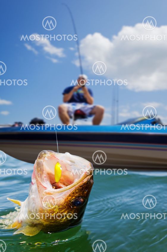Sport fishing