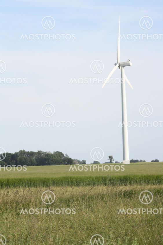 Vind snura skåne