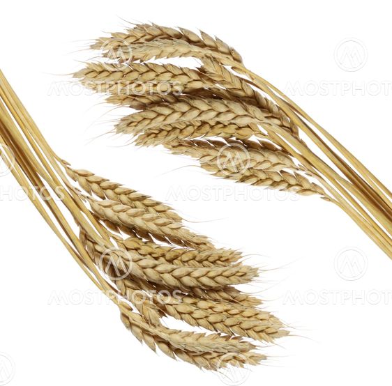 Wheat frame