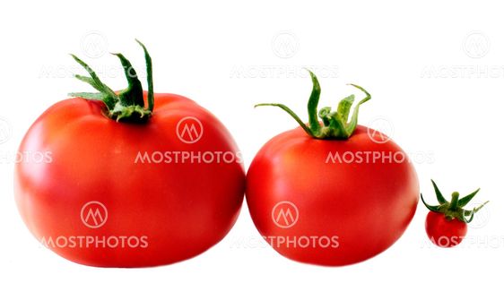 Tomatoes