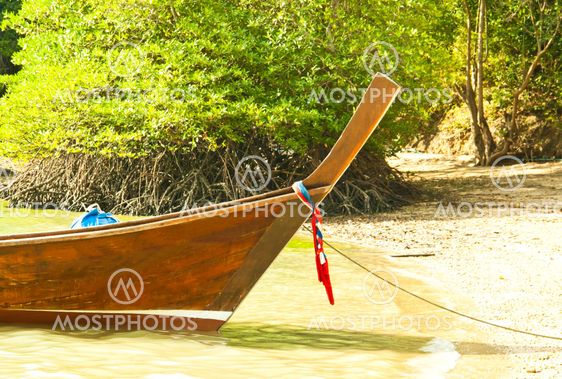 Local fishing boats.