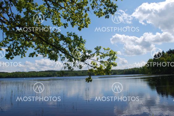 Hjälmsjön