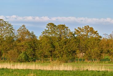 Travel, landscape and growth of trees, forest and eco...