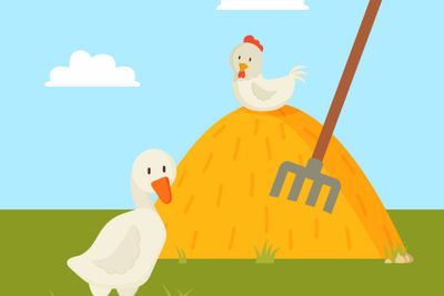 Rural Life Goose and Chick on Farm Yard Color Card