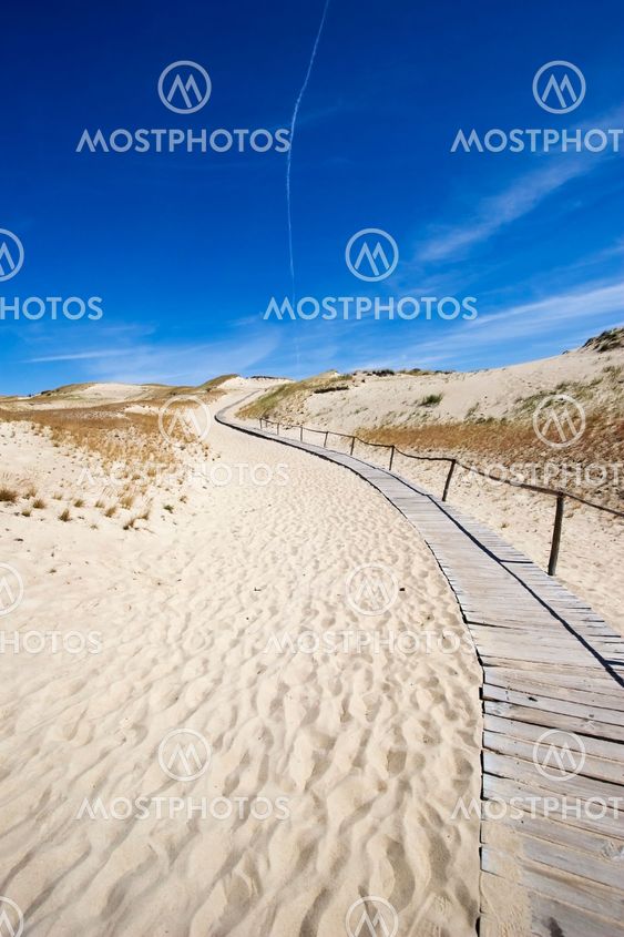 wooden footpath in dunes