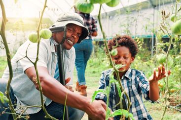 Father, child and farming in greenhouse, learning and...