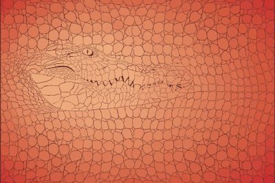Pattern background crocodile
