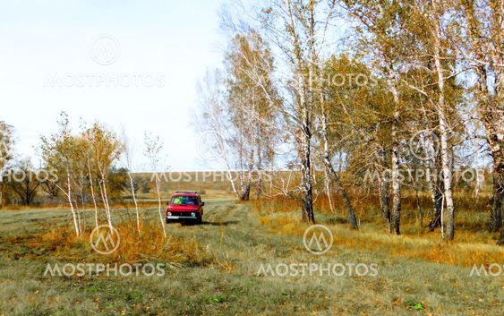 Nature Altaya