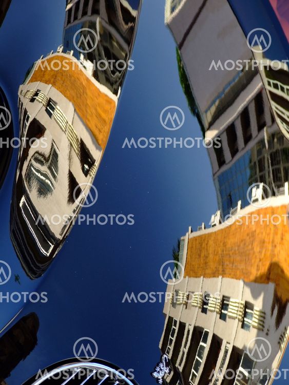 Bonnet Reflections