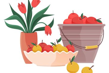 Bouquet of tulips in vase and fruits isolated on white...