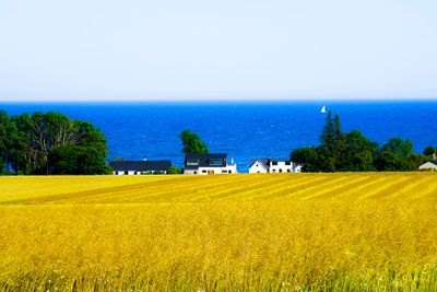 Lookout over the sea