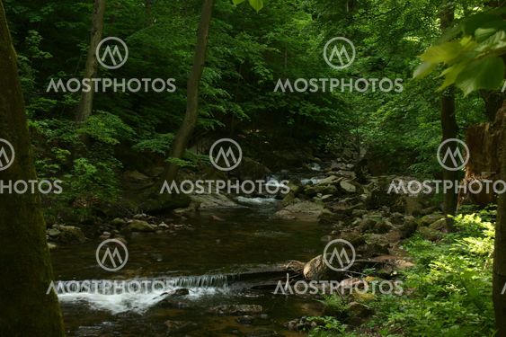 Mountain stream
