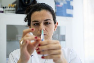 A focused nurse in a white lab coat carefully prepares a...