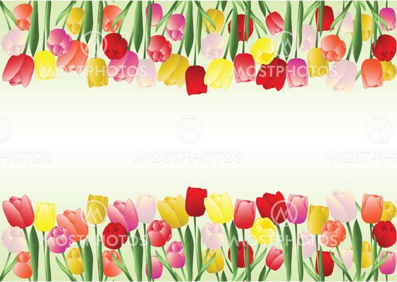 Tulips frame