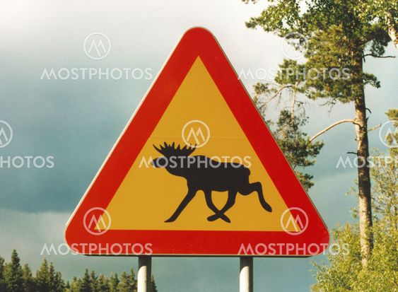 achtung elch | attention elk