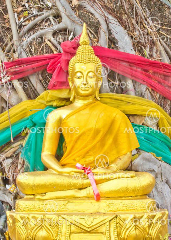 Golden Buddha under Banyan Tree