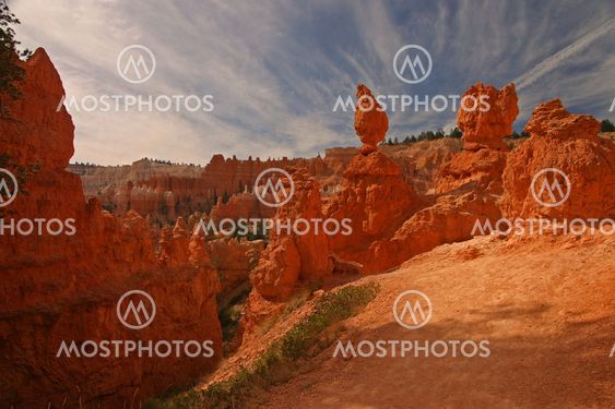 Navajo Trail