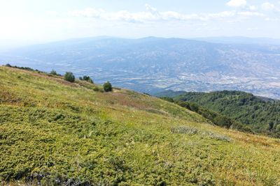 Summer landscape of Belasitsa Mountain, Bulgaria