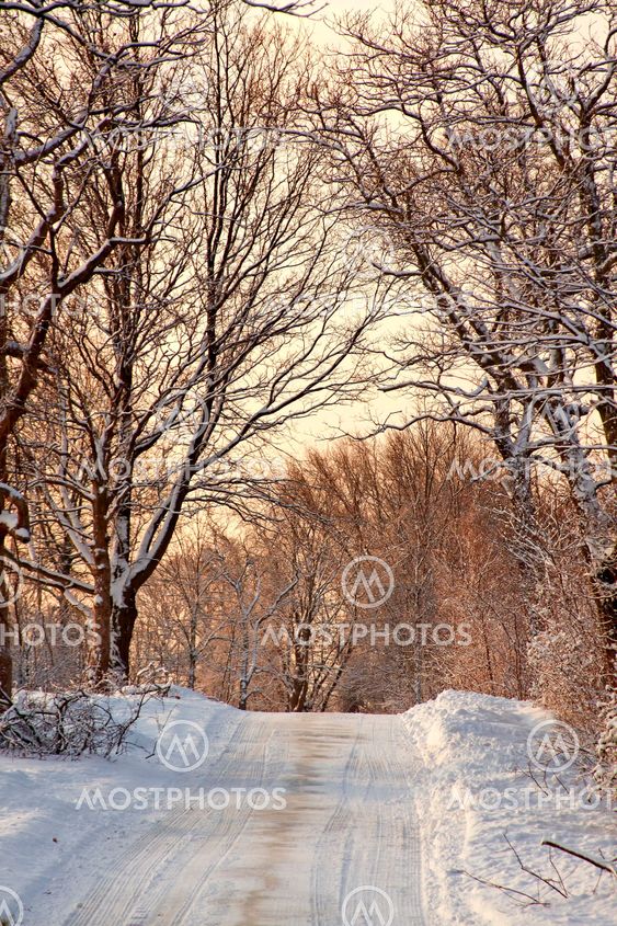 Snow covered park at early morning light.