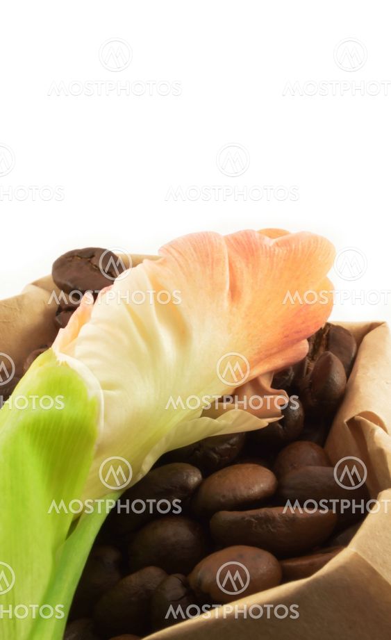 Coffee grains