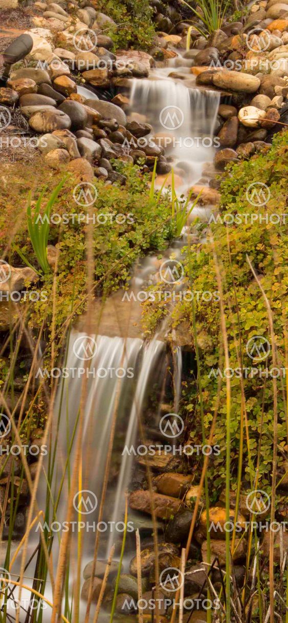 Water Fall