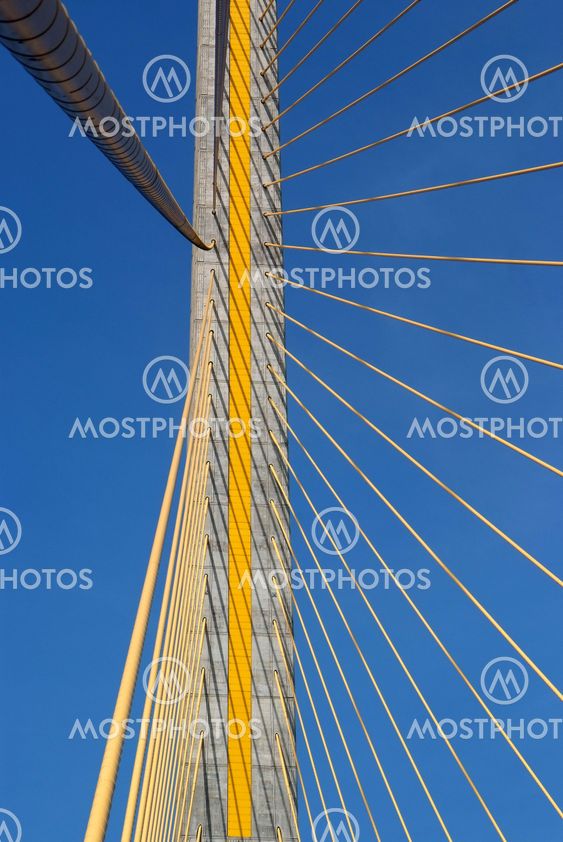 Mega sling Bridge,Rama 8
