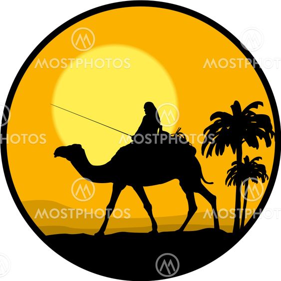 desert, sunset and the camel