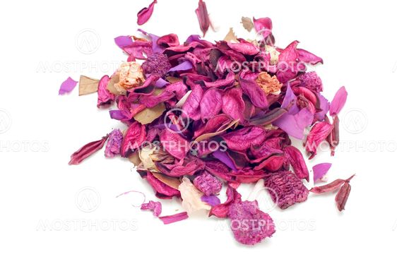 lavendel