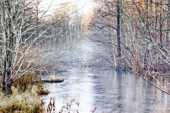 Winter 2015