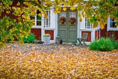 Trädgård med höstfärger 4