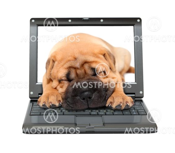 small laptop