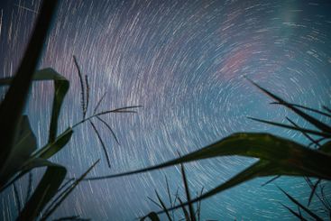 Star Trails . Night Starry Sky Glowing Milky Way Stars...