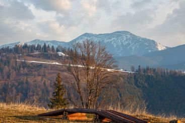 Early morning spring Carpathian mountains