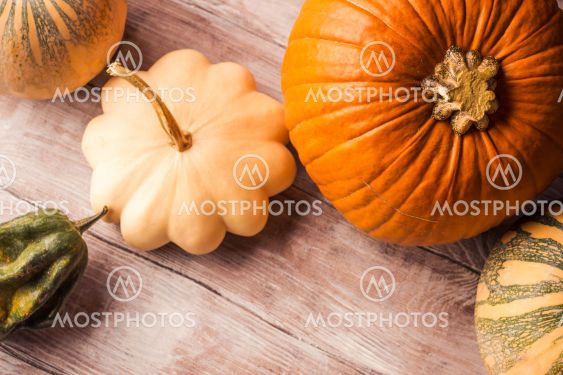 Autumn still life with different pumpkins
