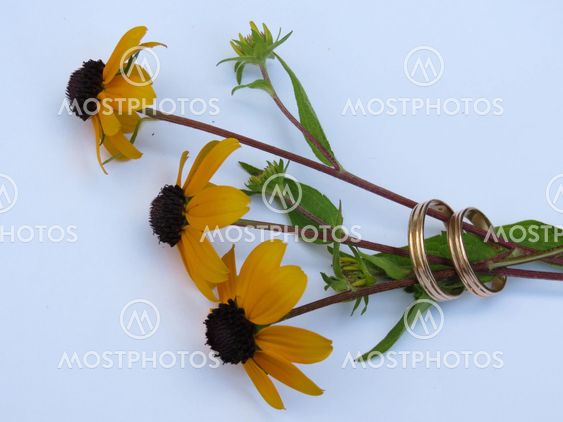 Wedding rings and yellow flowers
