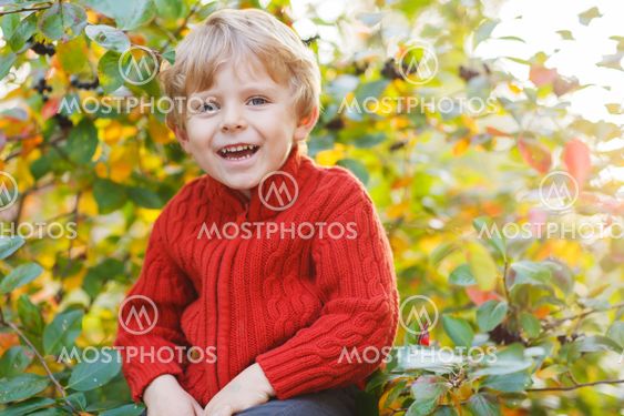 Funny little preschool boy sitting on a wall in late summer evening park, outdoors