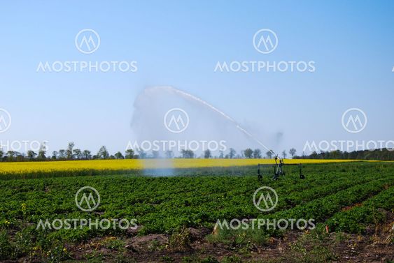 Irrigation av a rural plantation