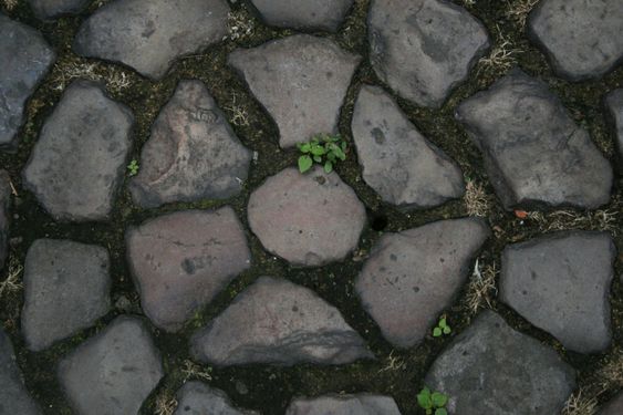 13th century stones