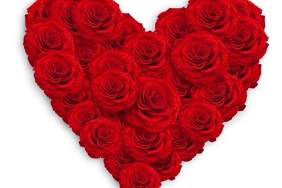 roses heart