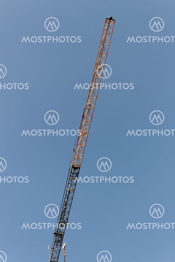 crane