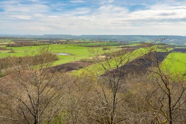 Tree tops and an aerial view at a beautiful rural...