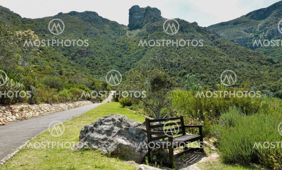 The footpath in the botanical garden goes forward