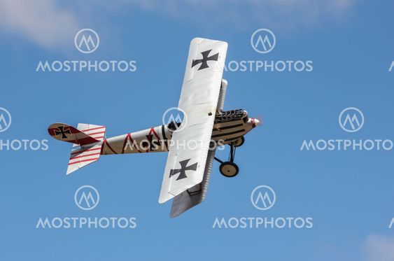 Pfalz D.III