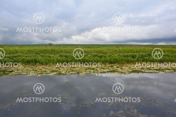 stormy taivas yli vesieläinten maiseman