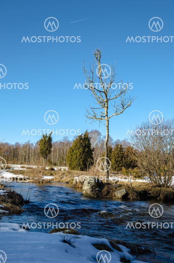 Early springtime landscape